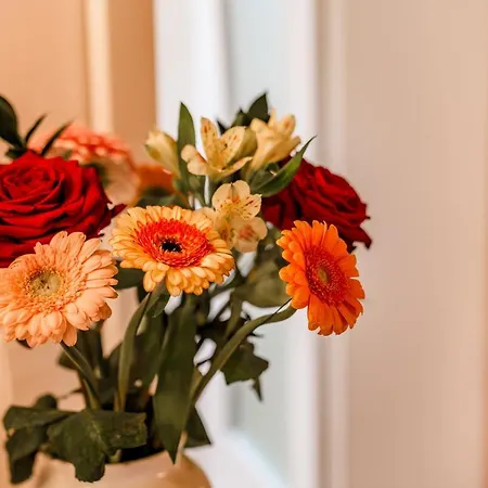 Hotel Parkvilla Vital 4*