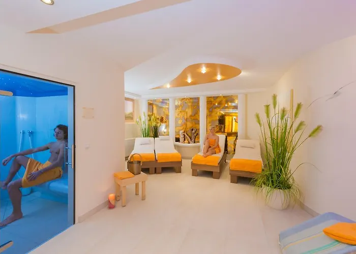 Otel Parkvilla Vital Schladming