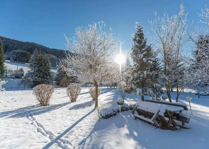 Parkvilla Vital Otel Schladming